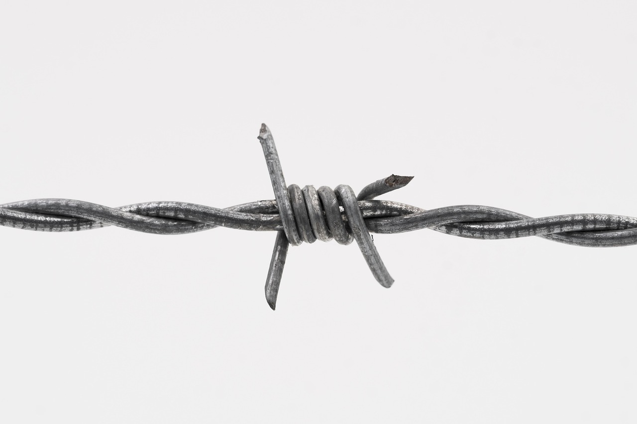 장기렌트 인수비용 확인