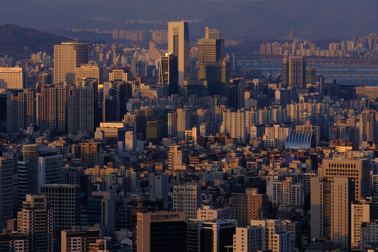 한국 신차장기렌트카