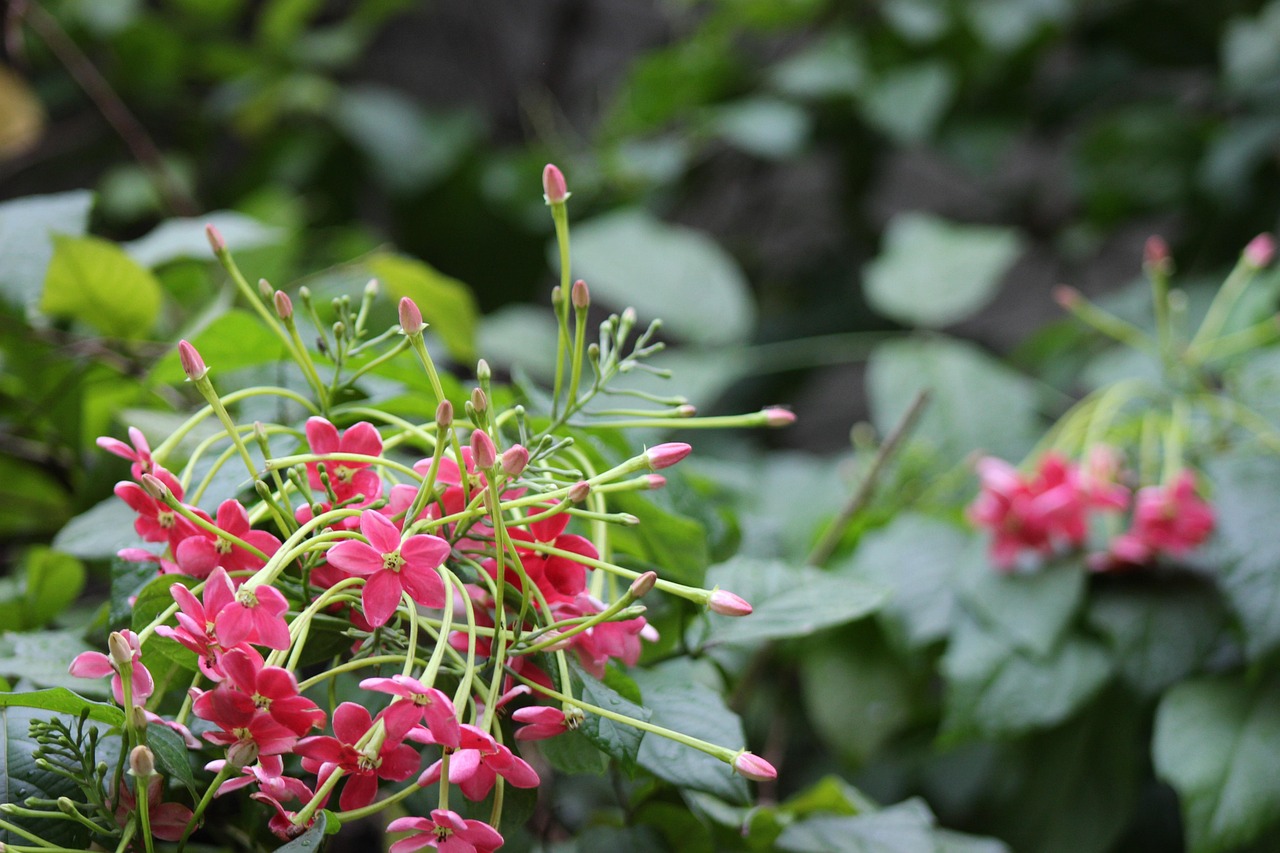 장기렌트 신용등급 6등급
