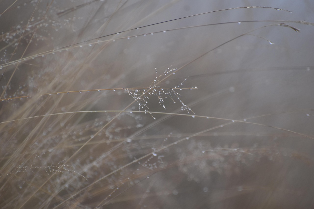 장기렌트 신용 하락
