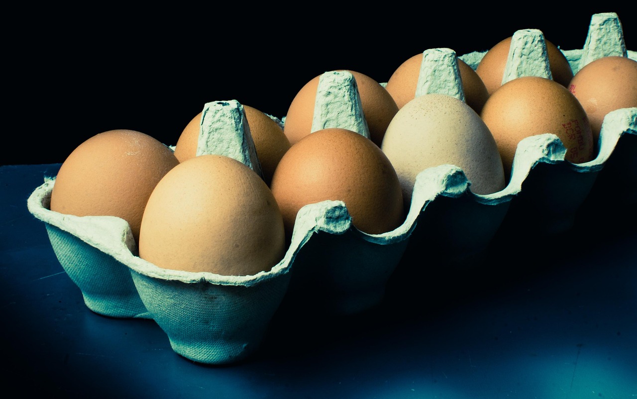 장기렌트 위약금 소송