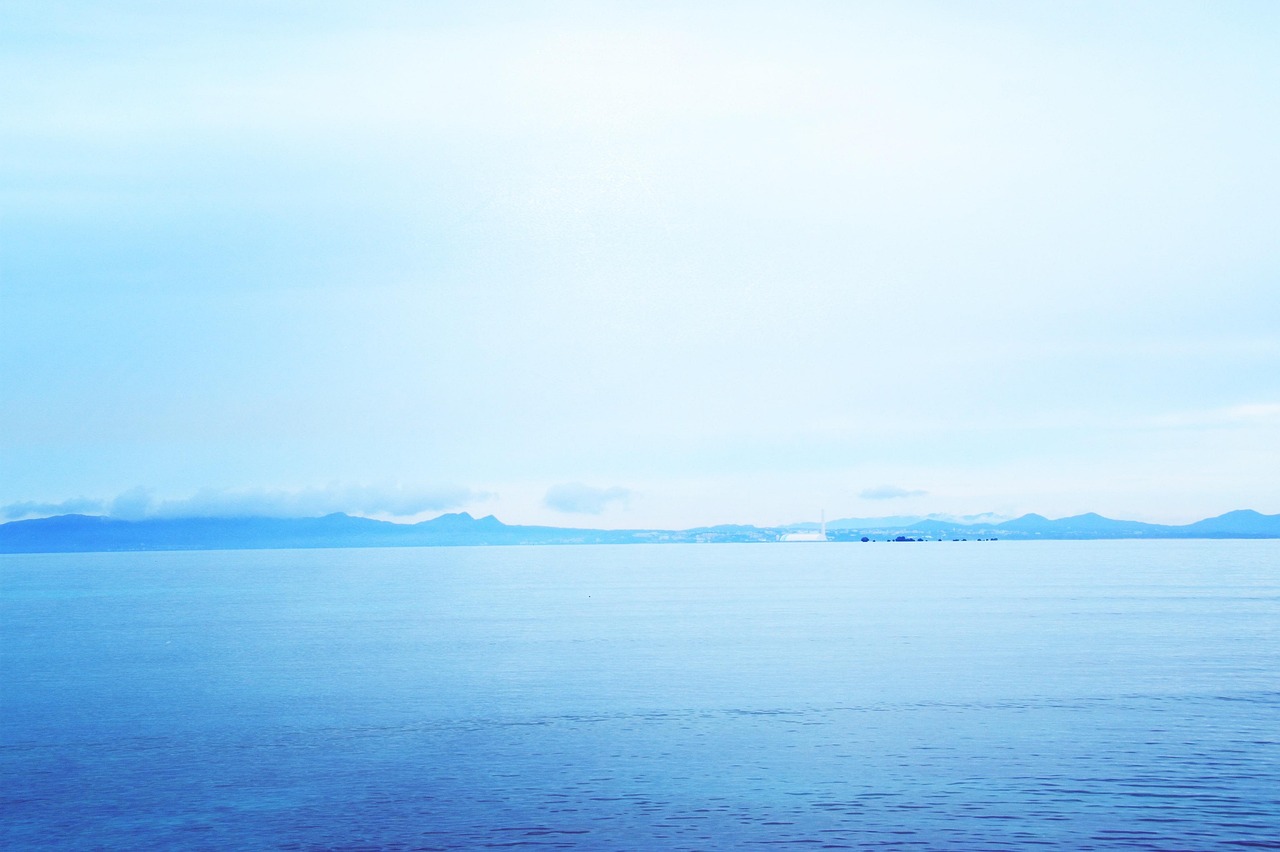 오키나와 오달렌트카 셔틀