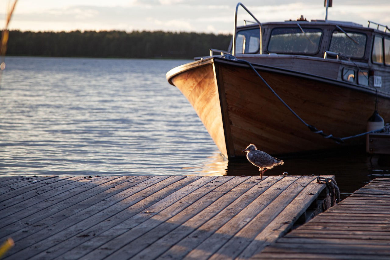 렌트카 면책금 대인