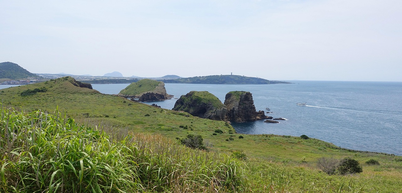 제주 렌트카 닷컴