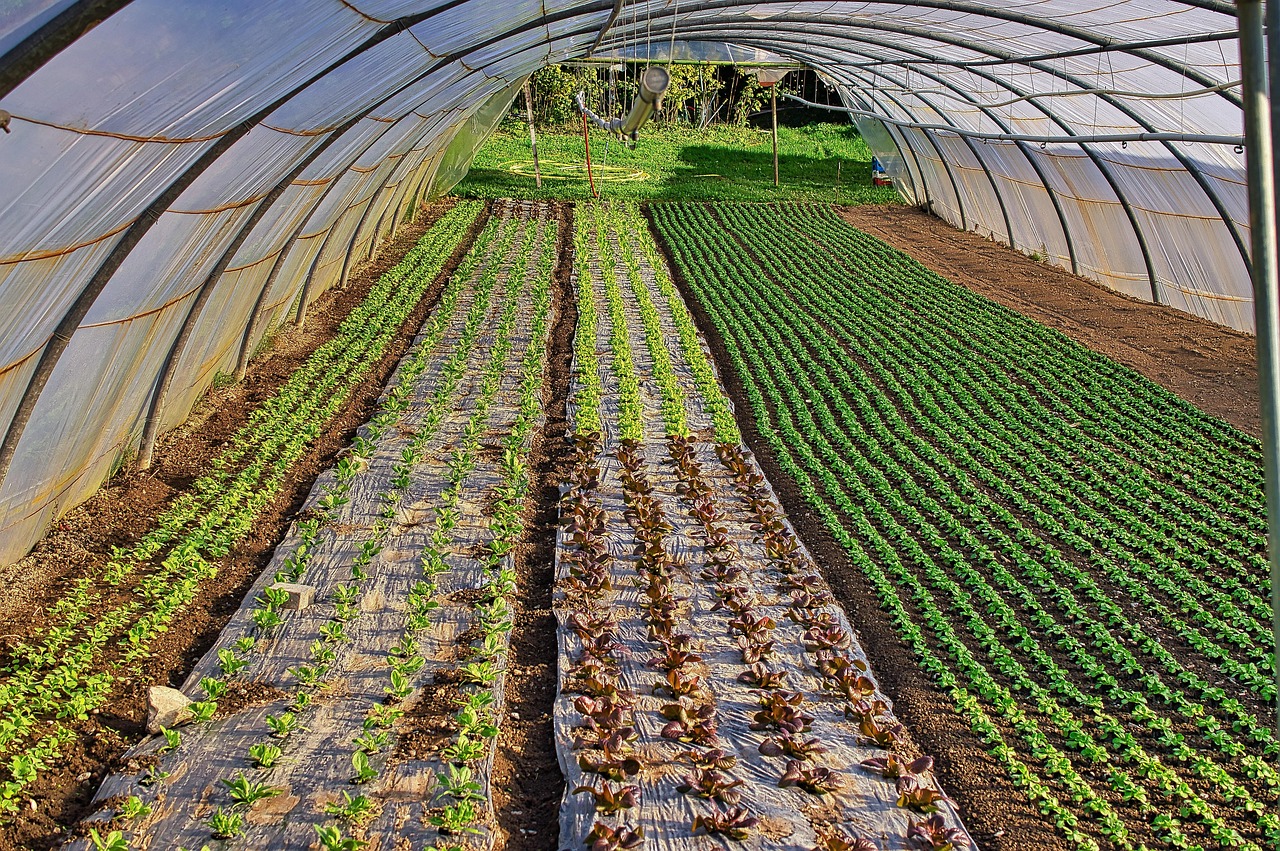 렌트카공제조합 소송