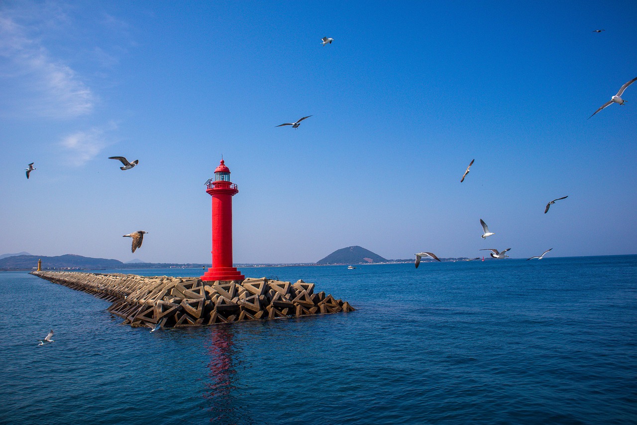 제주도 렌트카 카시트 없이
