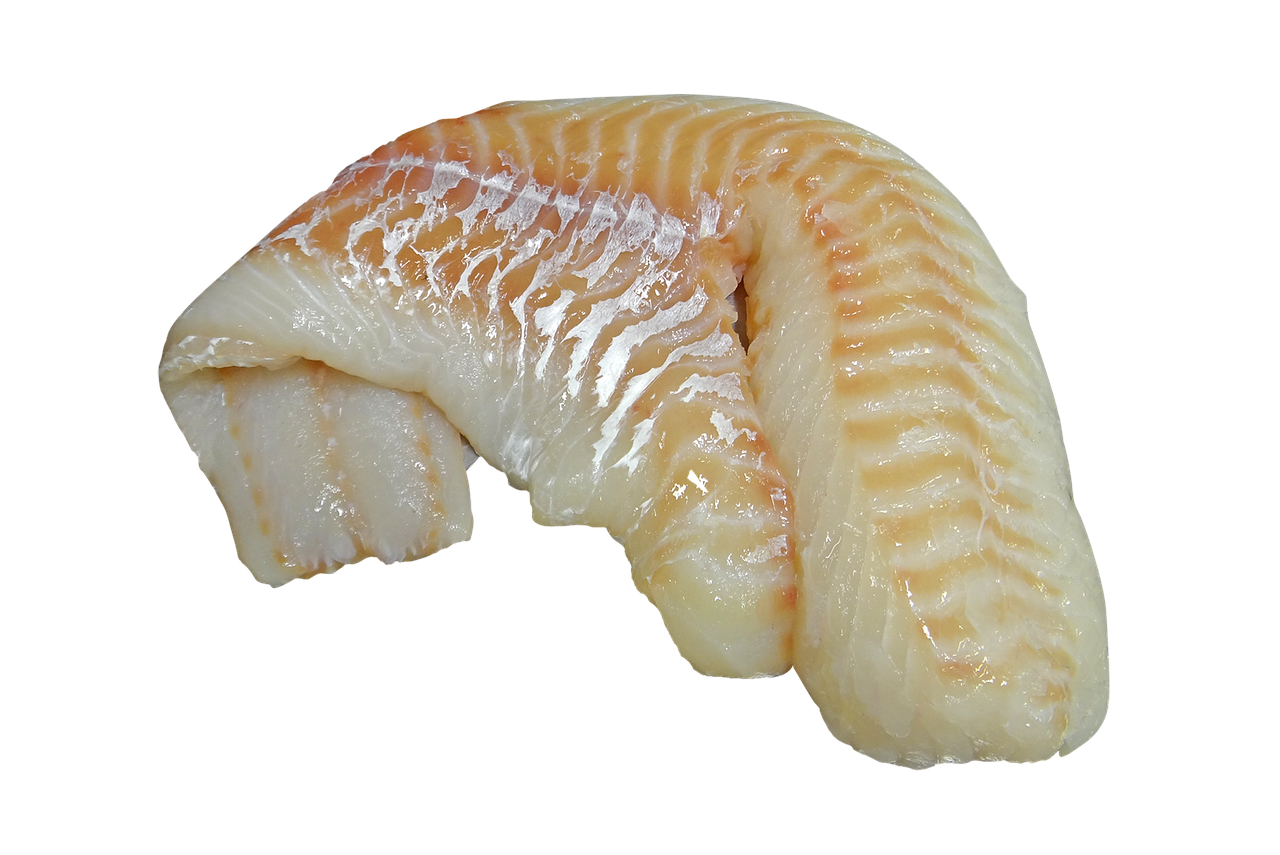 대구 렌트카 비용