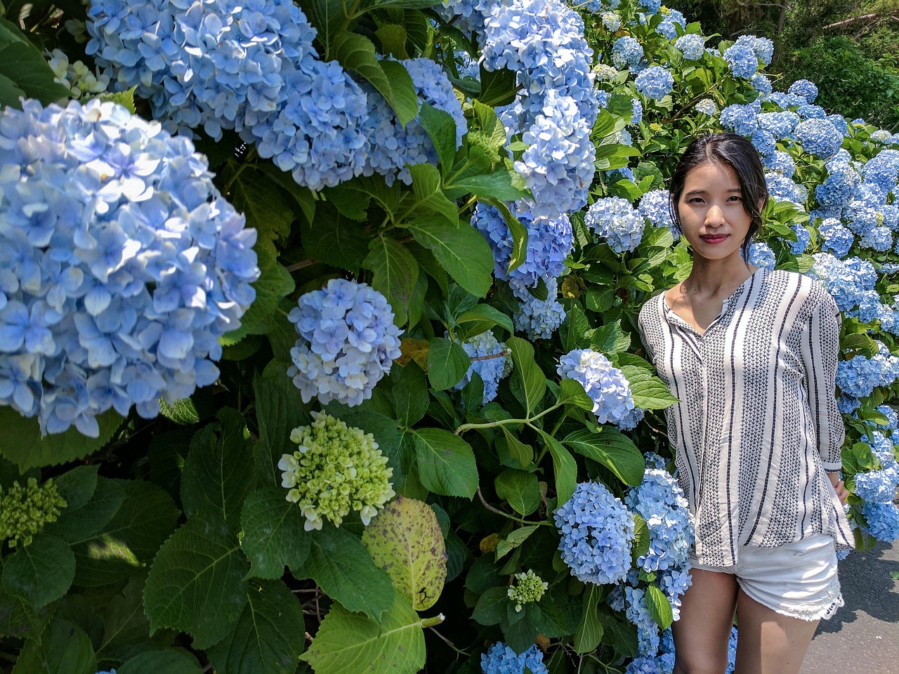 sk렌터카 제주 lpba월드챔피언십2025 결승