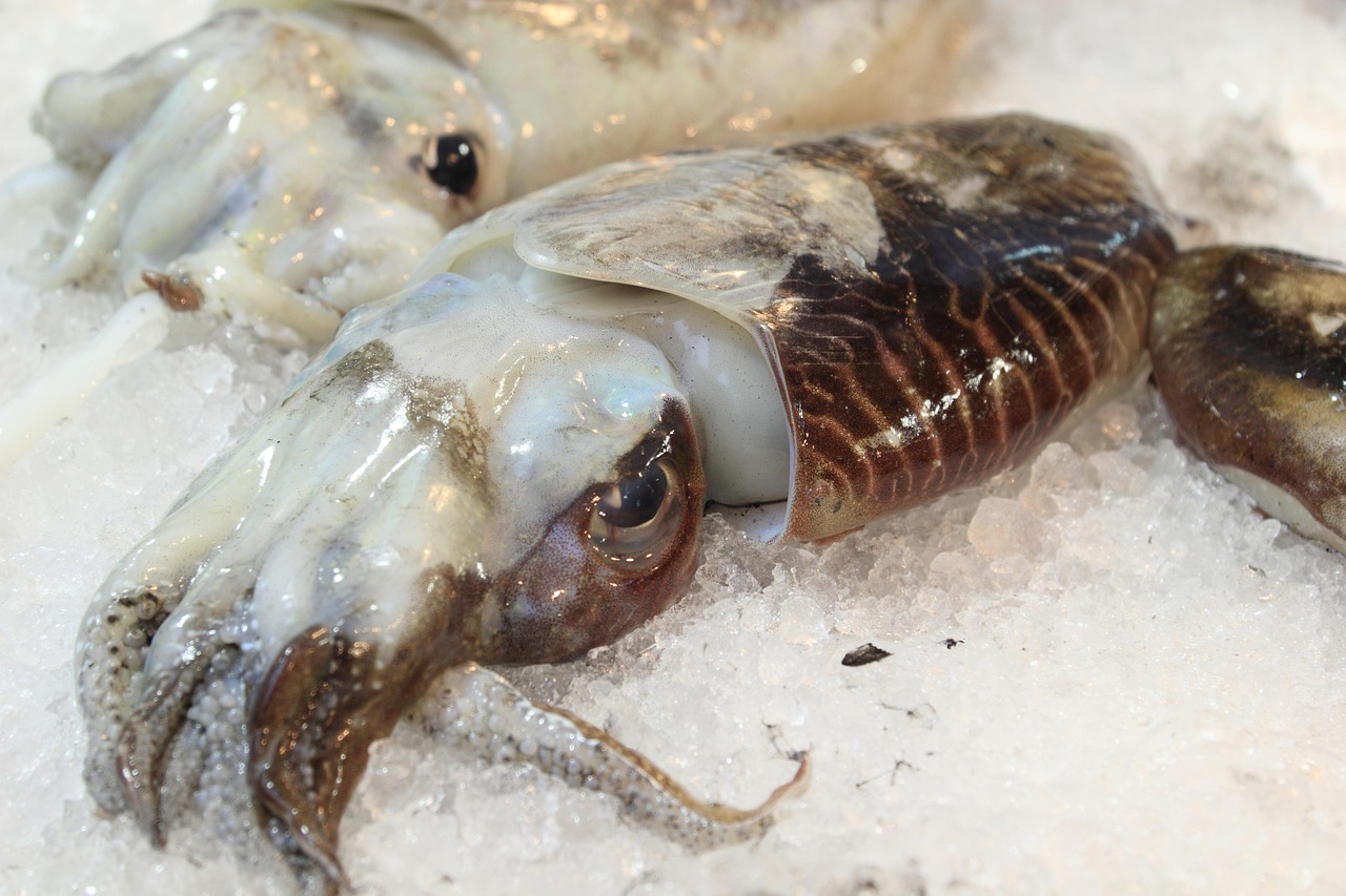 이탈리아 렌트카 업체