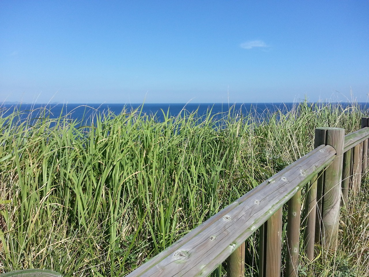 sk렌터카 제주 lpba월드챔피언십2024 결승