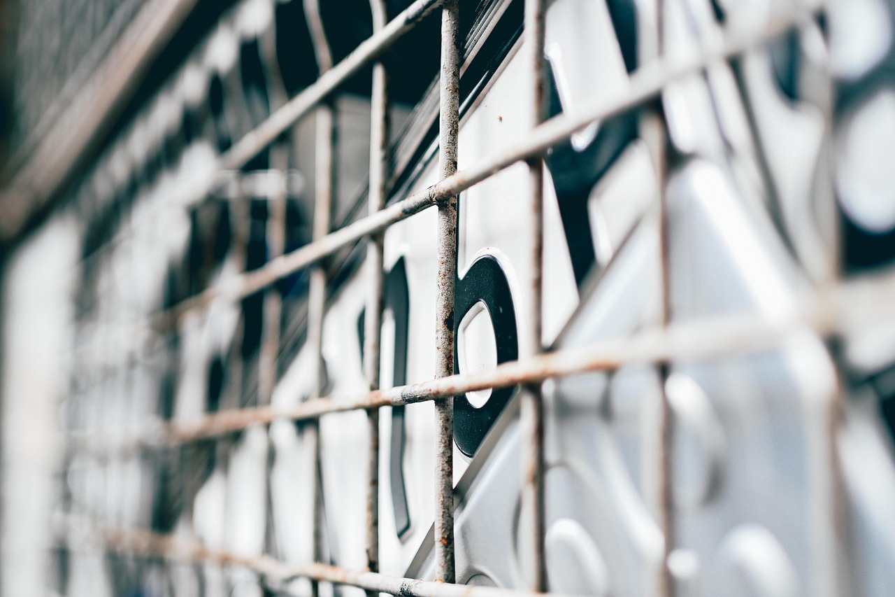 신차 장기리스 번호판